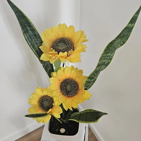 Дом отдыха Sunflower Castle View In Обидуш