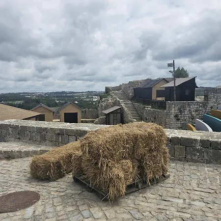 Sunflower Castle View In *