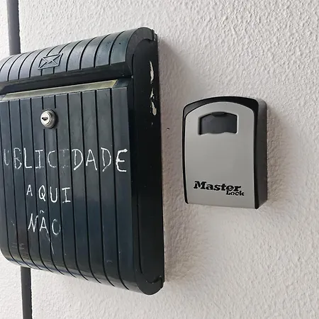 Sunflower Castle View In *